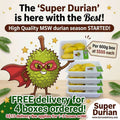 Super Durian!!! Eat only the Best!!!