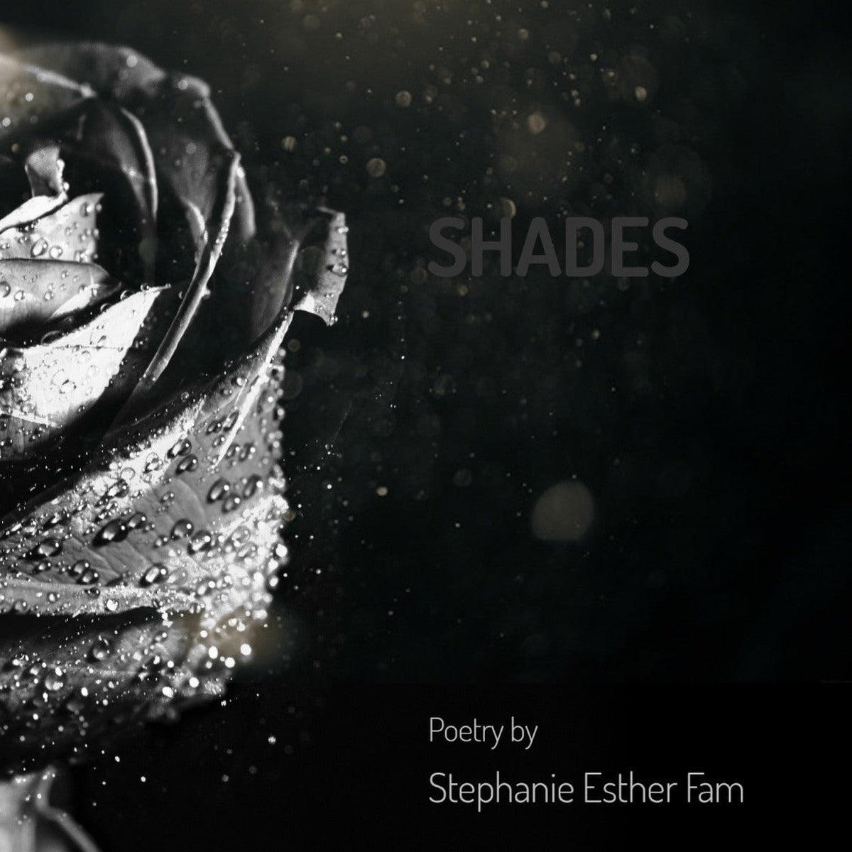 Shades Poetry Book